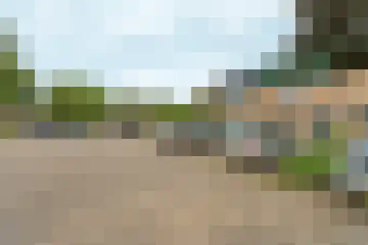 Tolhuis 1431 Nijmegen thumbnail 32
