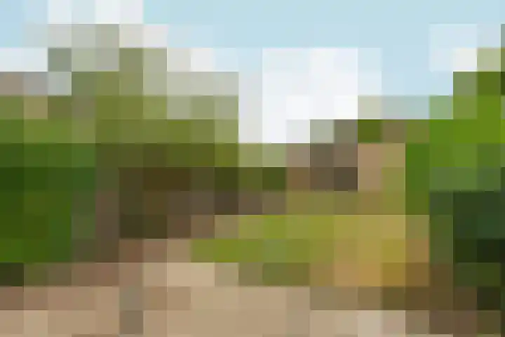 Tolhuis 1431 Nijmegen thumbnail 33