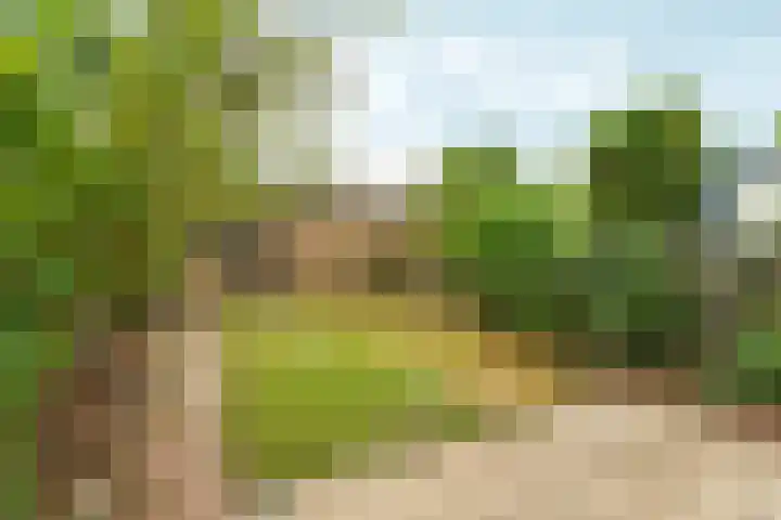 Tolhuis 1431 Nijmegen thumbnail 34
