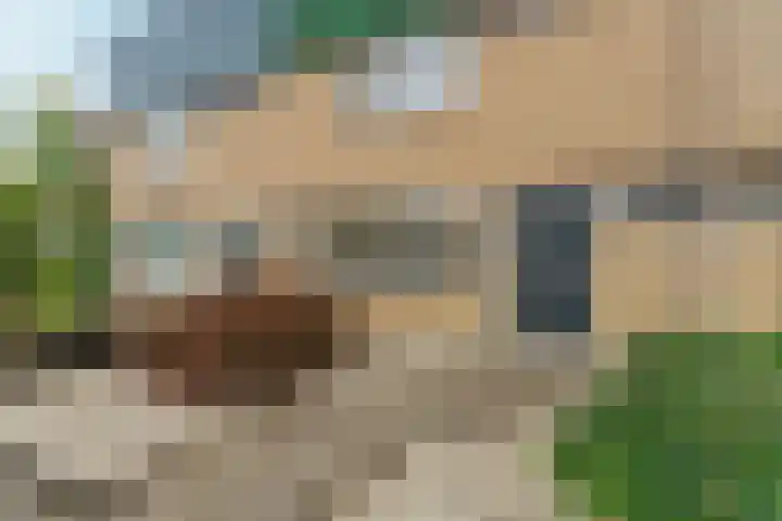 Tolhuis 1431 Nijmegen thumbnail 39