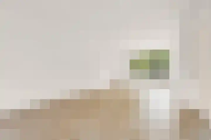 Tolhuis 1431 Nijmegen thumbnail 8