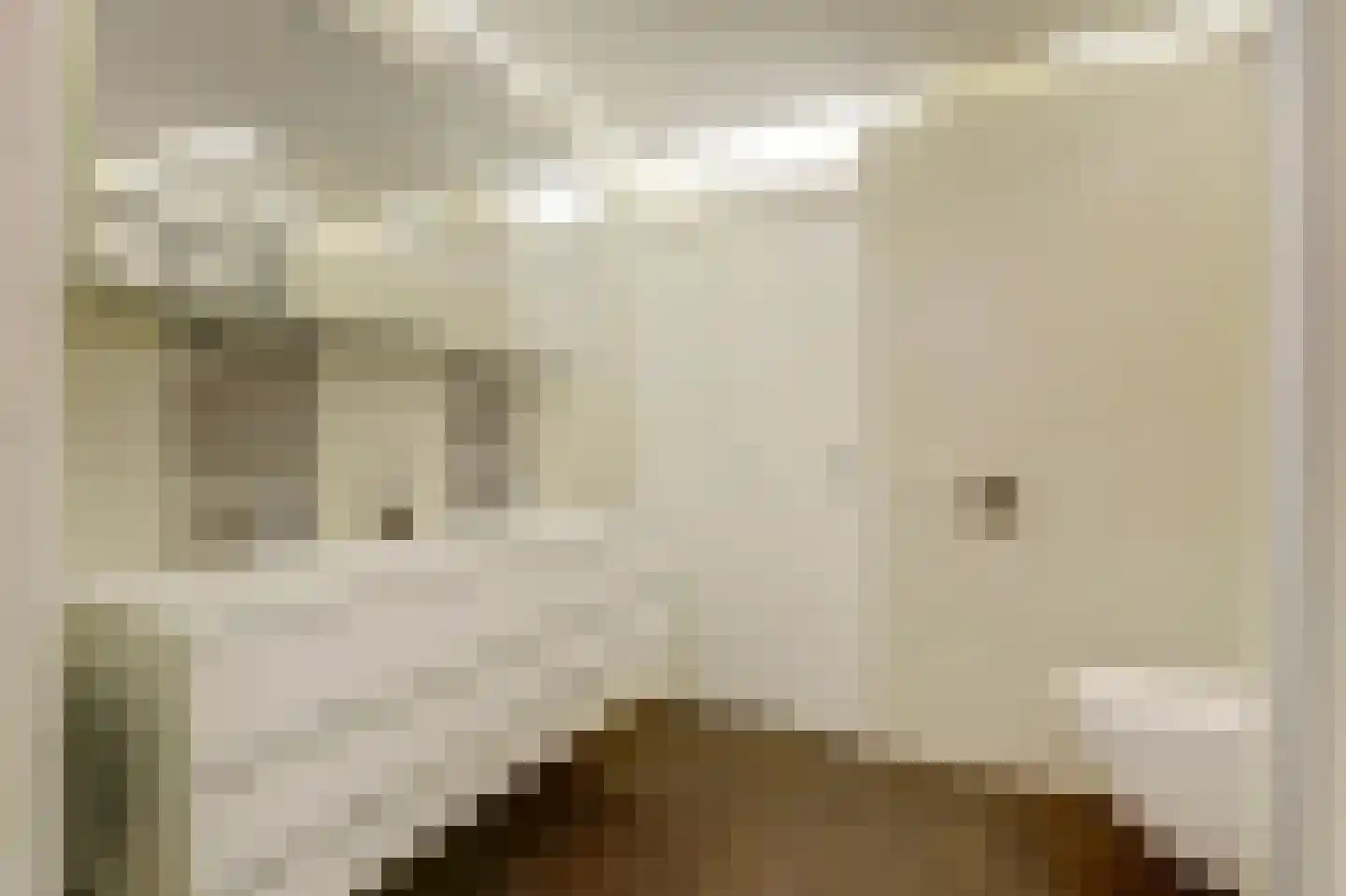 Tolhuis 20 Zwijndrecht thumbnail 37