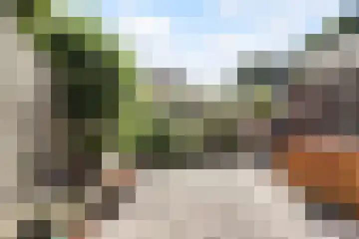 Tolhuis 2020 Nijmegen thumbnail 12