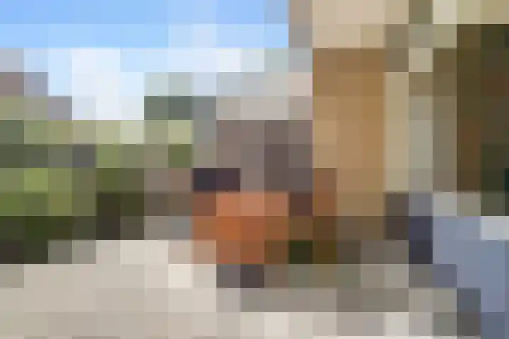 Tolhuis 2020 Nijmegen thumbnail 13