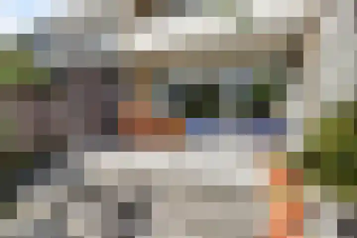Tolhuis 2020 Nijmegen thumbnail 14