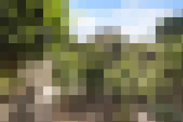 Tolhuis 2020 Nijmegen thumbnail 15