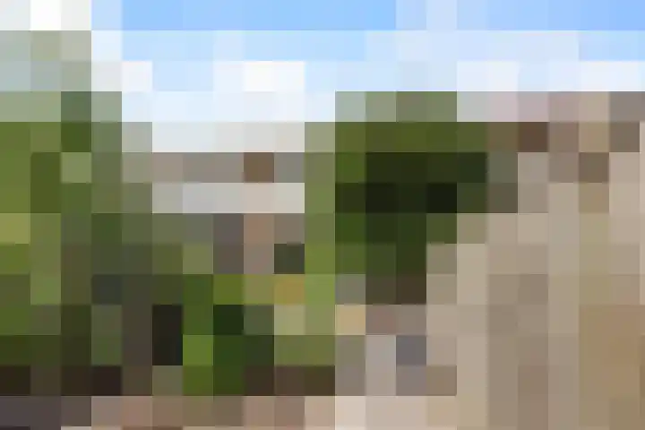 Tolhuis 2020 Nijmegen thumbnail 17
