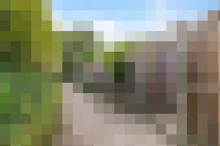 Tolhuis 2020 Nijmegen thumbnail 18