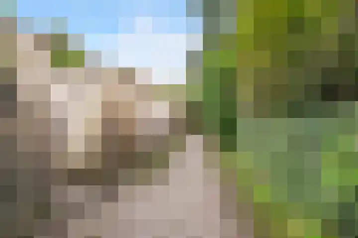 Tolhuis 2020 Nijmegen thumbnail 19