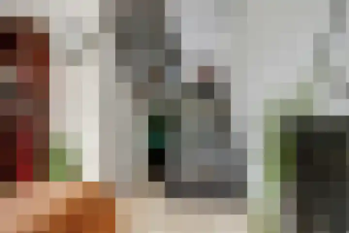 Tolhuis 2020 Nijmegen thumbnail 20