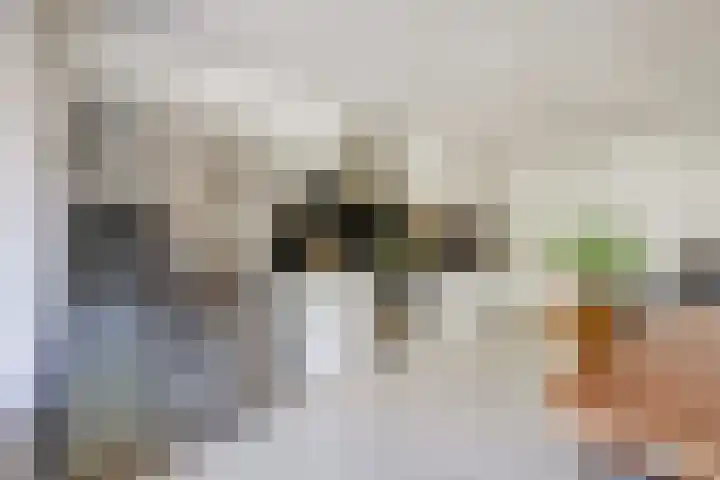 Tolhuis 2020 Nijmegen thumbnail 21