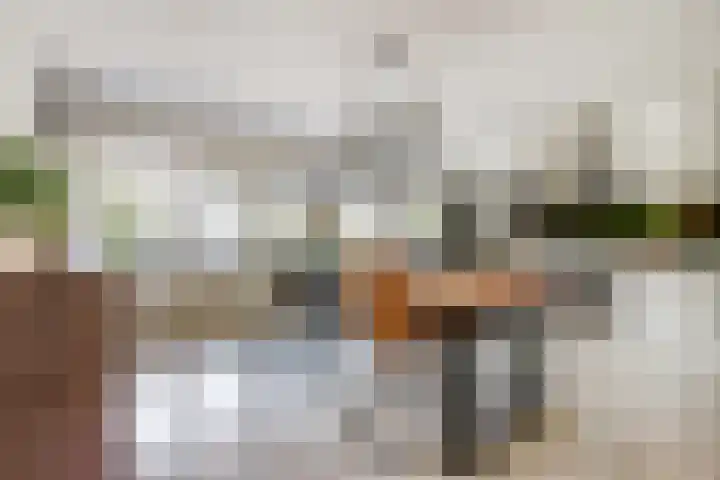 Tolhuis 2020 Nijmegen thumbnail 23