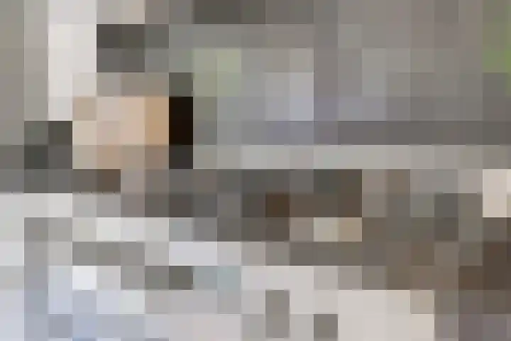 Tolhuis 2020 Nijmegen thumbnail 25