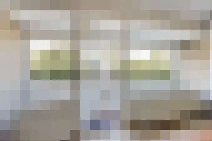 Tolhuis 2020 Nijmegen thumbnail 26