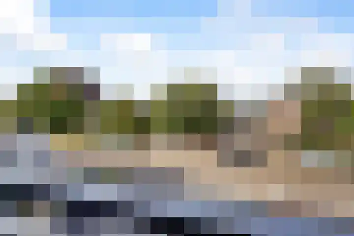 Tolhuis 2020 Nijmegen thumbnail 27