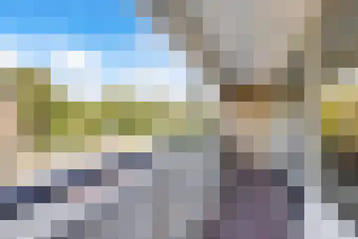 Tolhuis 2020 Nijmegen thumbnail 28