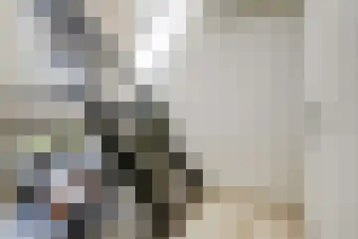 Tolhuis 2020 Nijmegen thumbnail 30