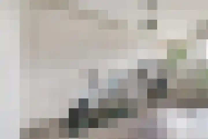 Tolhuis 2020 Nijmegen thumbnail 31