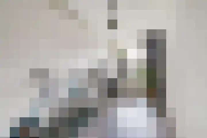 Tolhuis 2020 Nijmegen thumbnail 32
