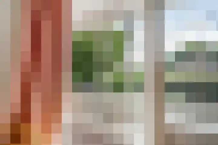 Tolhuis 2020 Nijmegen thumbnail 35