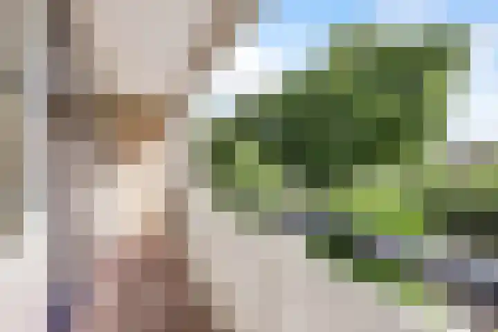 Tolhuis 2020 Nijmegen thumbnail 36