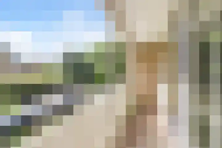Tolhuis 2020 Nijmegen thumbnail 37