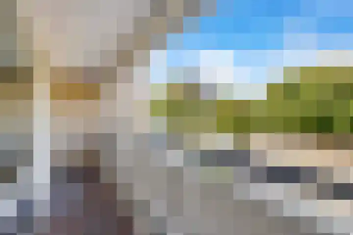 Tolhuis 2020 Nijmegen thumbnail 38