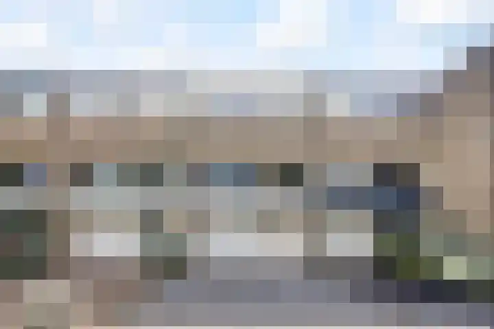 Tolhuis 2020 Nijmegen thumbnail 4