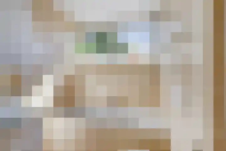 Tolhuis 2020 Nijmegen thumbnail 46