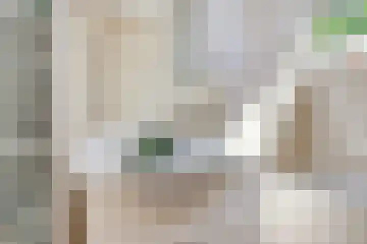 Tolhuis 2020 Nijmegen thumbnail 47