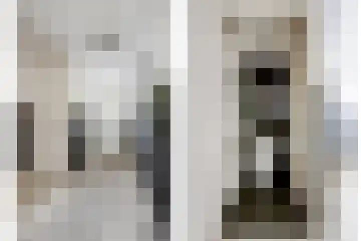 Tolhuis 2020 Nijmegen thumbnail 5