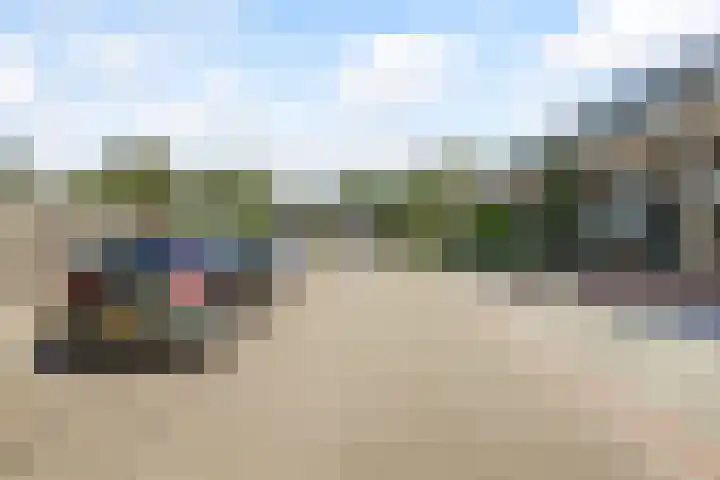 Tolhuis 2020 Nijmegen thumbnail 52