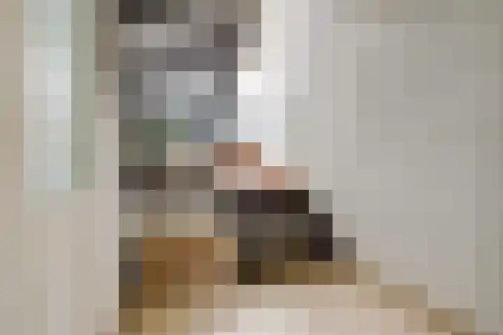 Tolhuis 2020 Nijmegen thumbnail 7