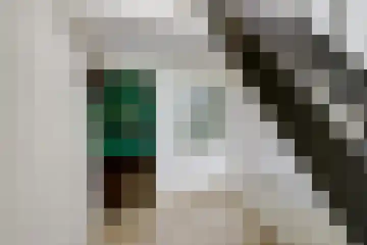 Tolhuis 2020 Nijmegen thumbnail 8
