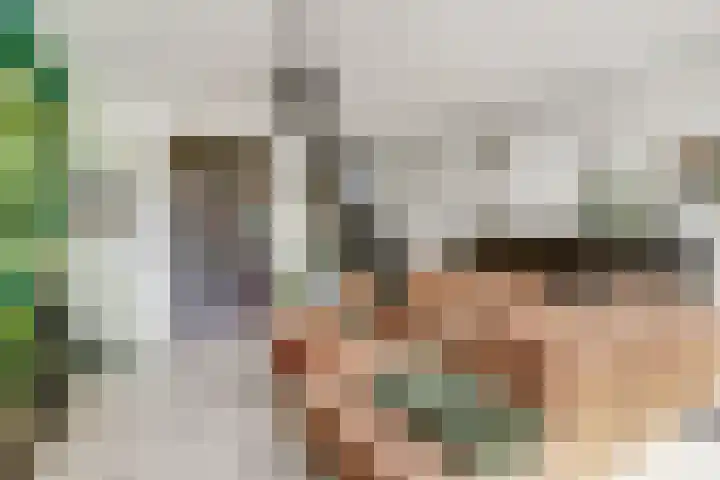 Tolhuis 2020 Nijmegen thumbnail 9
