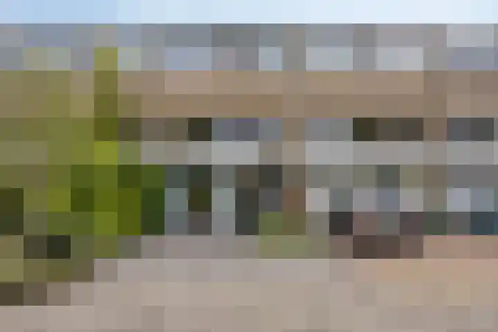 Tolhuis 2024 Nijmegen