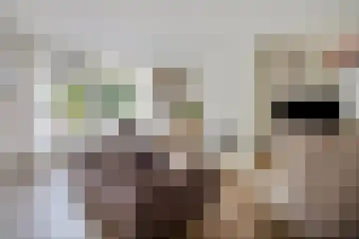 Tolhuis 2024 Nijmegen thumbnail 10