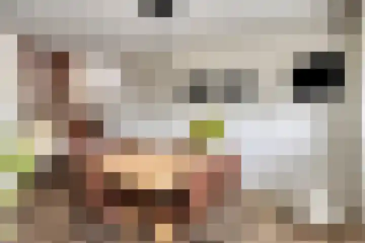 Tolhuis 2024 Nijmegen thumbnail 11