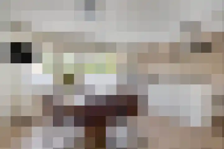 Tolhuis 2024 Nijmegen thumbnail 12