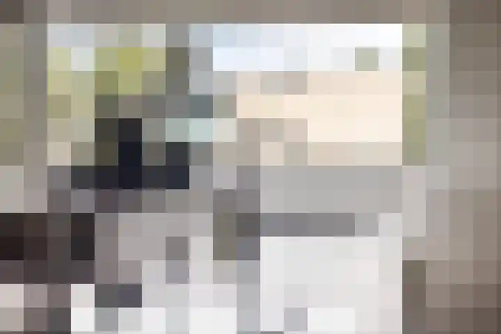 Tolhuis 2024 Nijmegen thumbnail 14