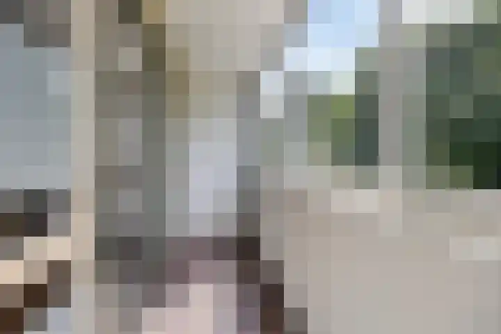 Tolhuis 2024 Nijmegen thumbnail 18