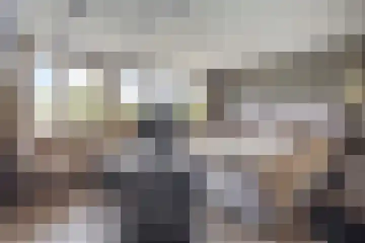 Tolhuis 2024 Nijmegen thumbnail 20