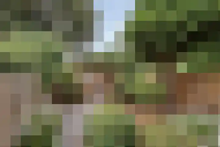 Tolhuis 2024 Nijmegen thumbnail 24