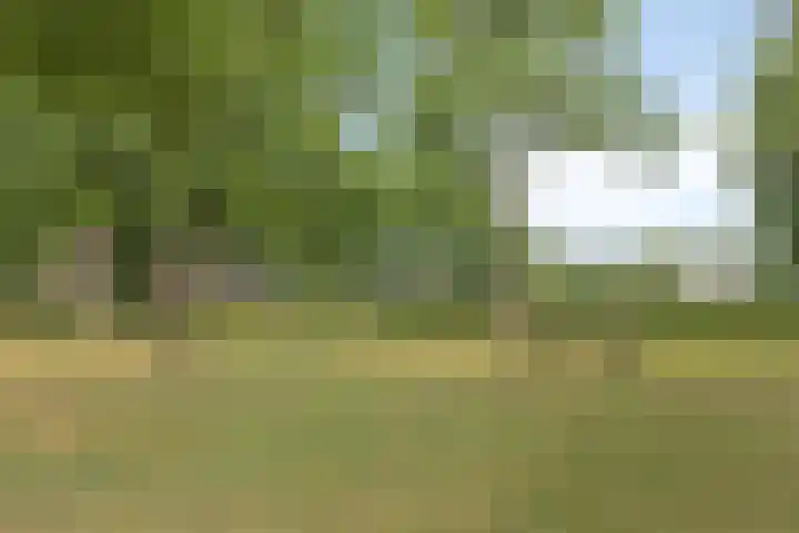 Tolhuis 2024 Nijmegen thumbnail 25