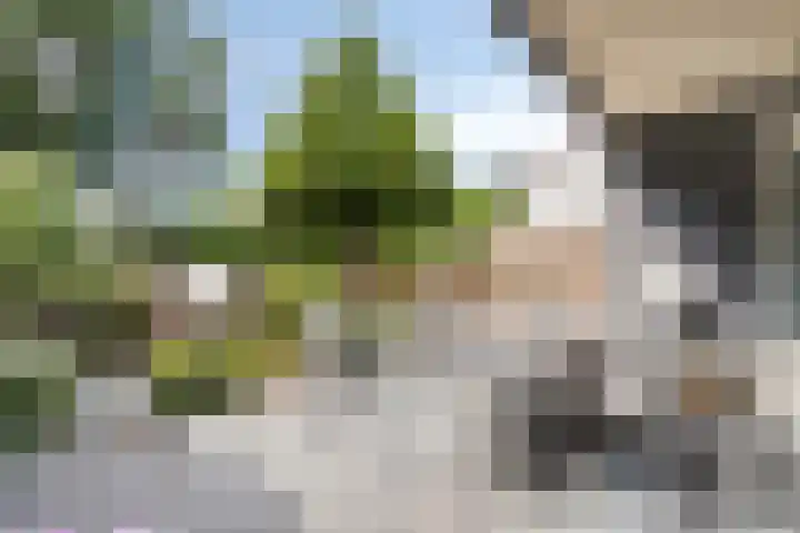 Tolhuis 2024 Nijmegen thumbnail 5