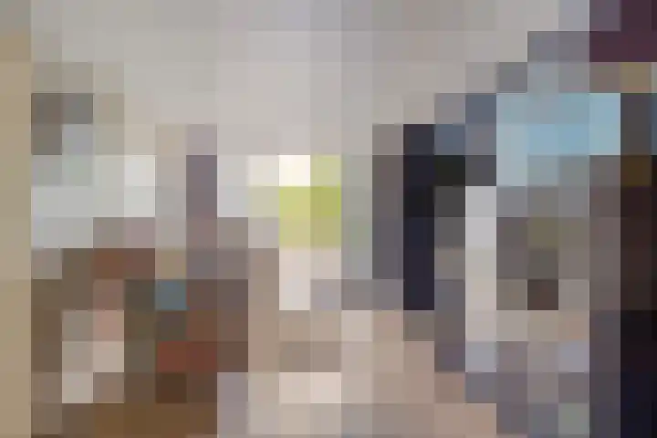 Tolhuis 2024 Nijmegen thumbnail 7