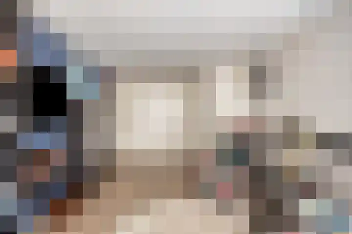 Tolhuis 2024 Nijmegen thumbnail 8