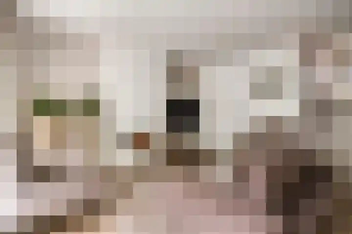 Tolhuis 2024 Nijmegen thumbnail 9