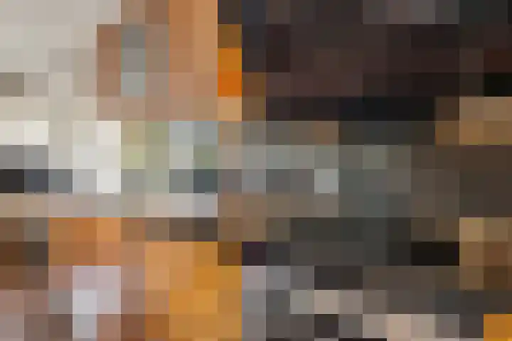 Tolhuis 2028 Nijmegen thumbnail 12