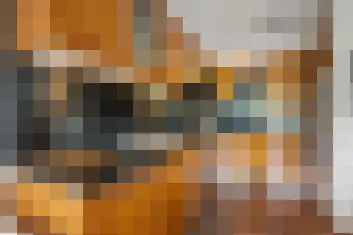 Tolhuis 2028 Nijmegen thumbnail 13